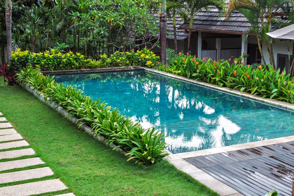 Piscine Tropicale de Luxe et Jardin Verdoyant avec Terrasse Piscine rectangulaire turquoise entourée de plantes tropicales luxuriantes, d'un chemin de dalles et d'une terrasse en bois.